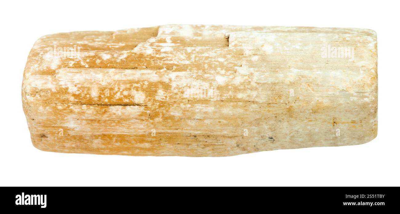 Le riprese in modalità macro di minerali naturali - Selenite ruvida (gesso) crystal isolate su sfondi bianchi da Iren fiume a Perm Krai, Russia Foto Stock