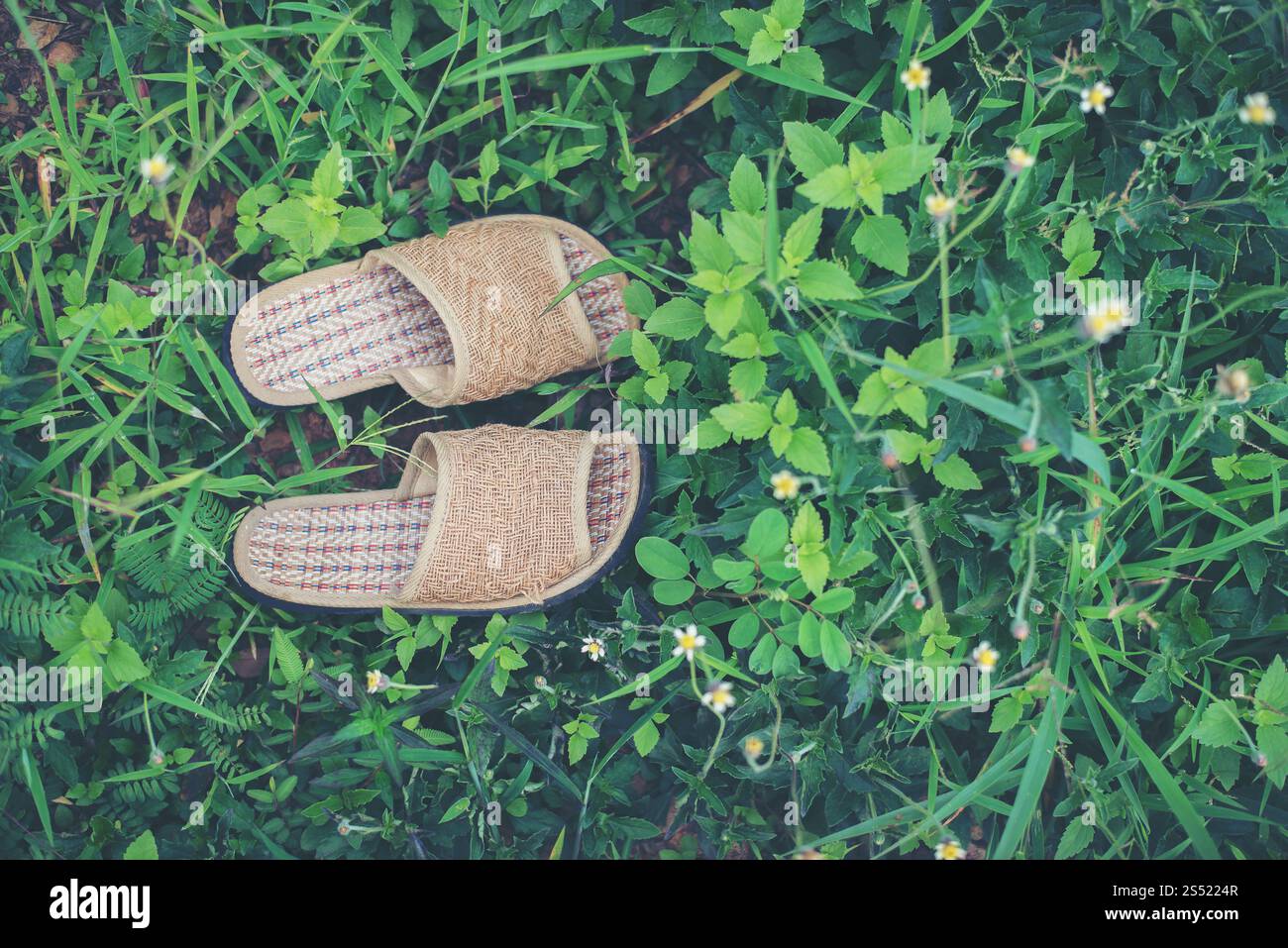 Close up di pantofole su sfondo di erba, il concetto di rilassamento. Foto Stock