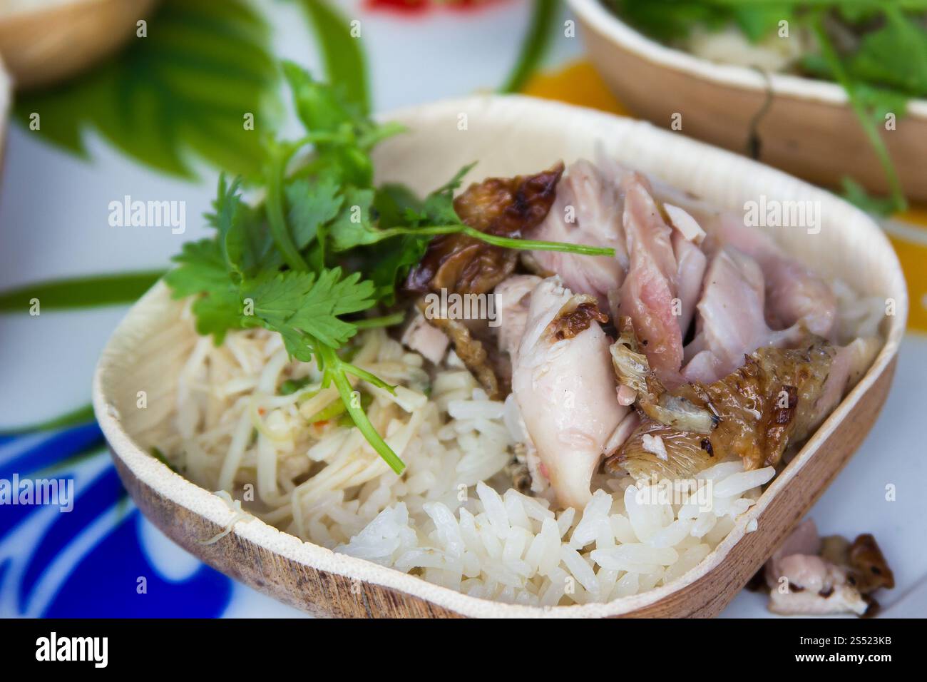 Primo piano di riso e carne arrosto guarnita con erbe fresche Foto Stock