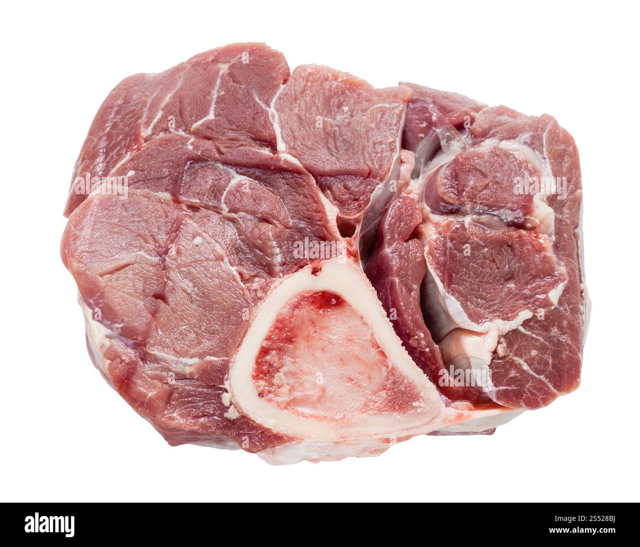 Pezzo grezzo di carne di vitello con marrowbone per piatto italiano Ossobuco isolati su sfondo bianco Foto Stock