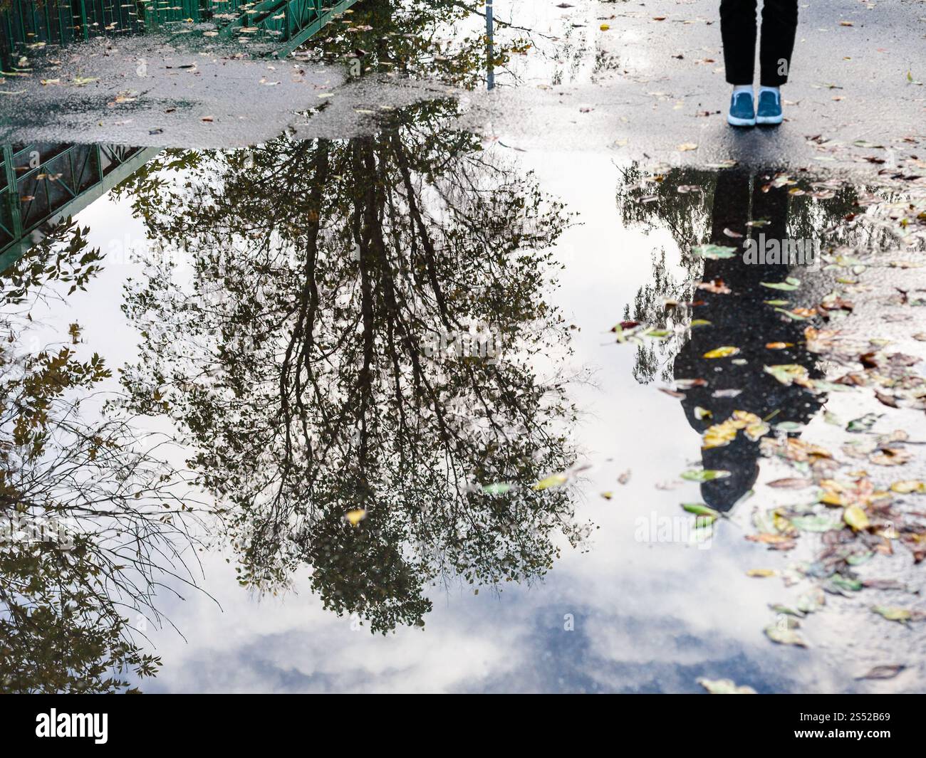 Autunno cityscape - teenager vicino a pioggia pozzanghera con struttura ad albero sulla riflessione sulla strada urbana (incentrata sulla riflessione nella pozza) Foto Stock
