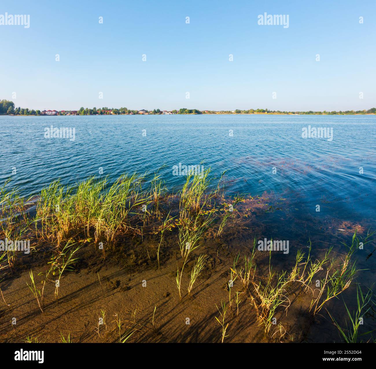 Il pittoresco lago di estate calma rushy shore. Concetto della tranquilla vita di paese, eco-turismo, camping, pesca. Foto Stock