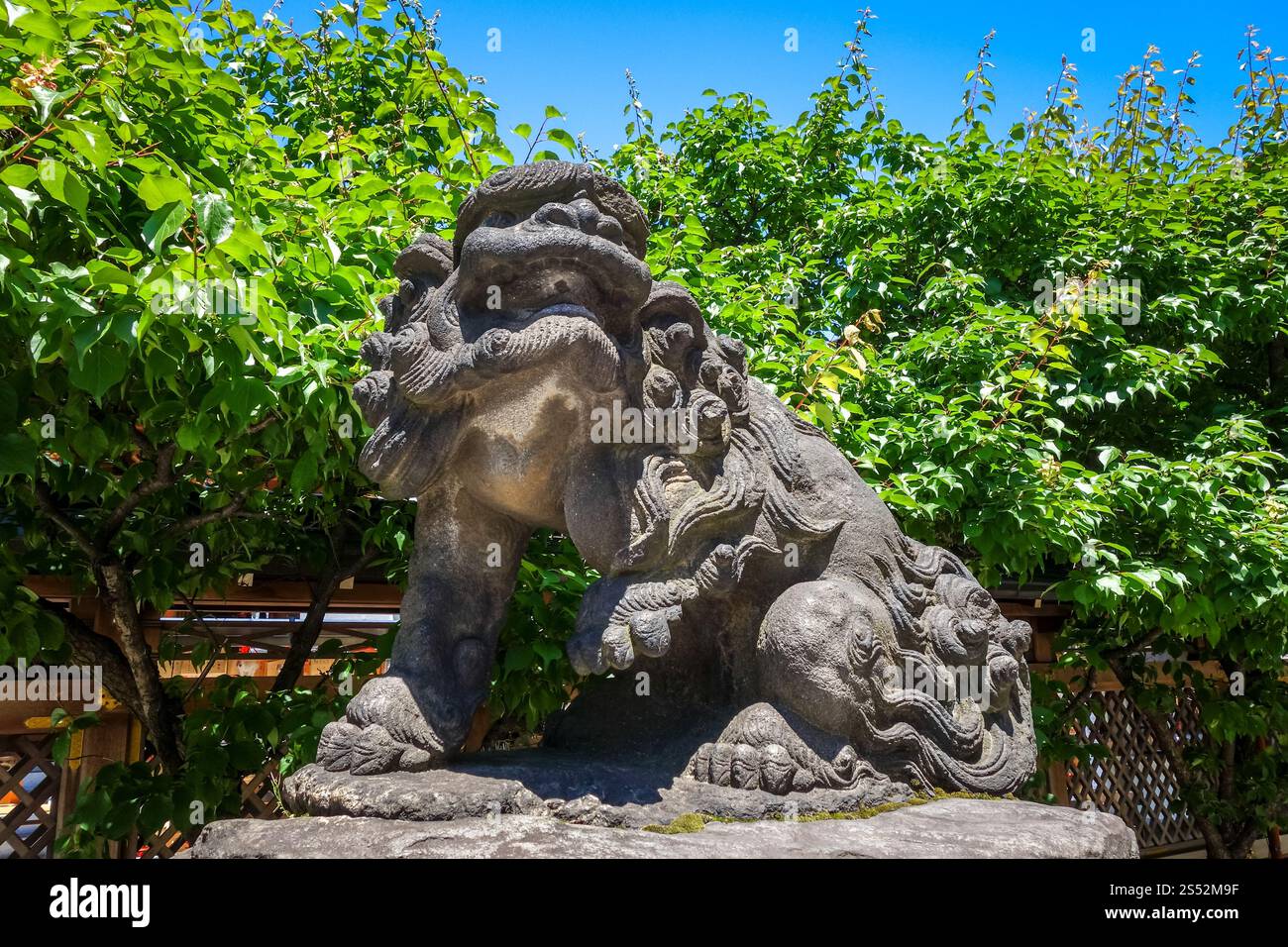 Komainu, statua del cane da leone, Tokyo, Giappone. Statua del cane da leone komainu, Tokyo, Giappone Foto Stock