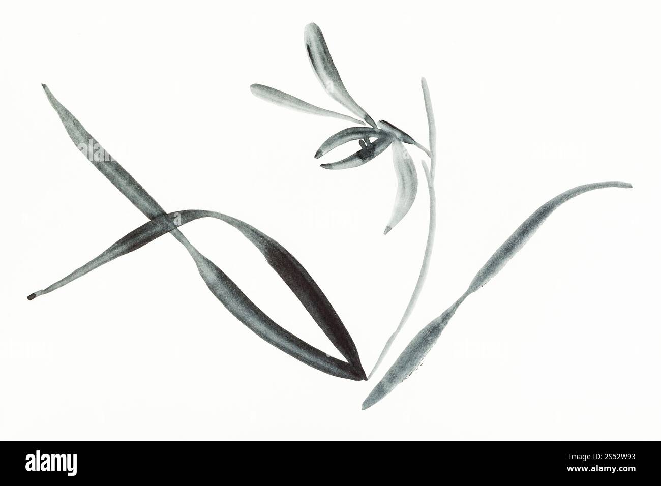 Disegno di formazione in sumi-e (suibokuga) stile con vernici ad acquerello - Fiori di orchidea disegnati a mano su carta cremosa Foto Stock