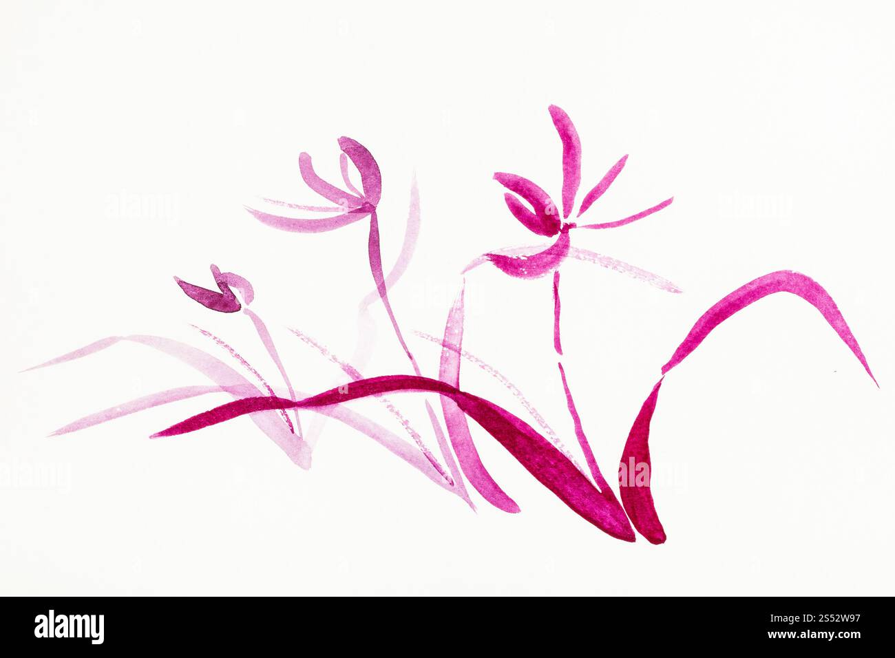 Disegno di formazione in sumi-e (suibokuga) stile con vernici ad acquerello - viola fiori di orchidea sono disegnati a mano su carta cremosa Foto Stock