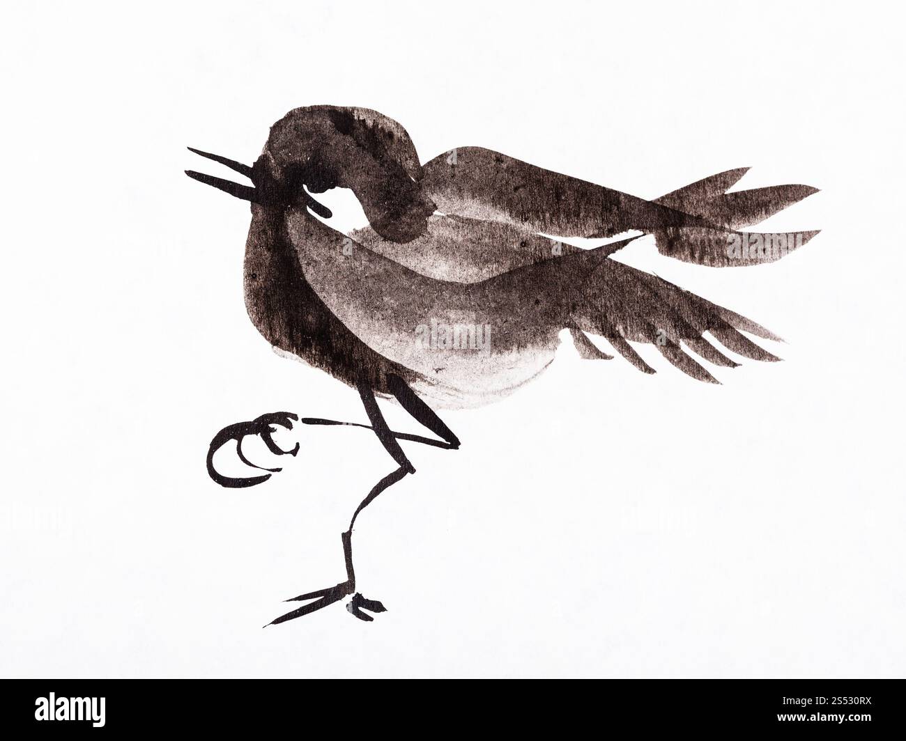 Disegno di formazione in sumi-e (suibokuga) stile - uccellino dipinte a mano da black acquerelli su carta bianca Foto Stock
