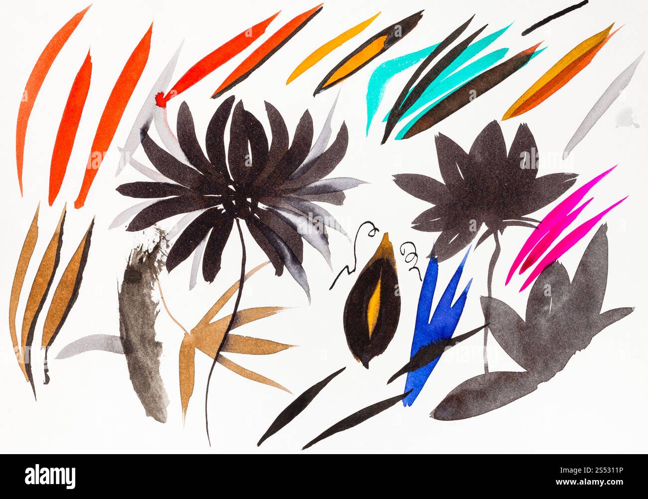 Disegno di formazione in sumi-e (suibokuga) stile - i tratti di pennello a forma di foglie e fiori di crisantemo da acquerelli su carta bianca Foto Stock