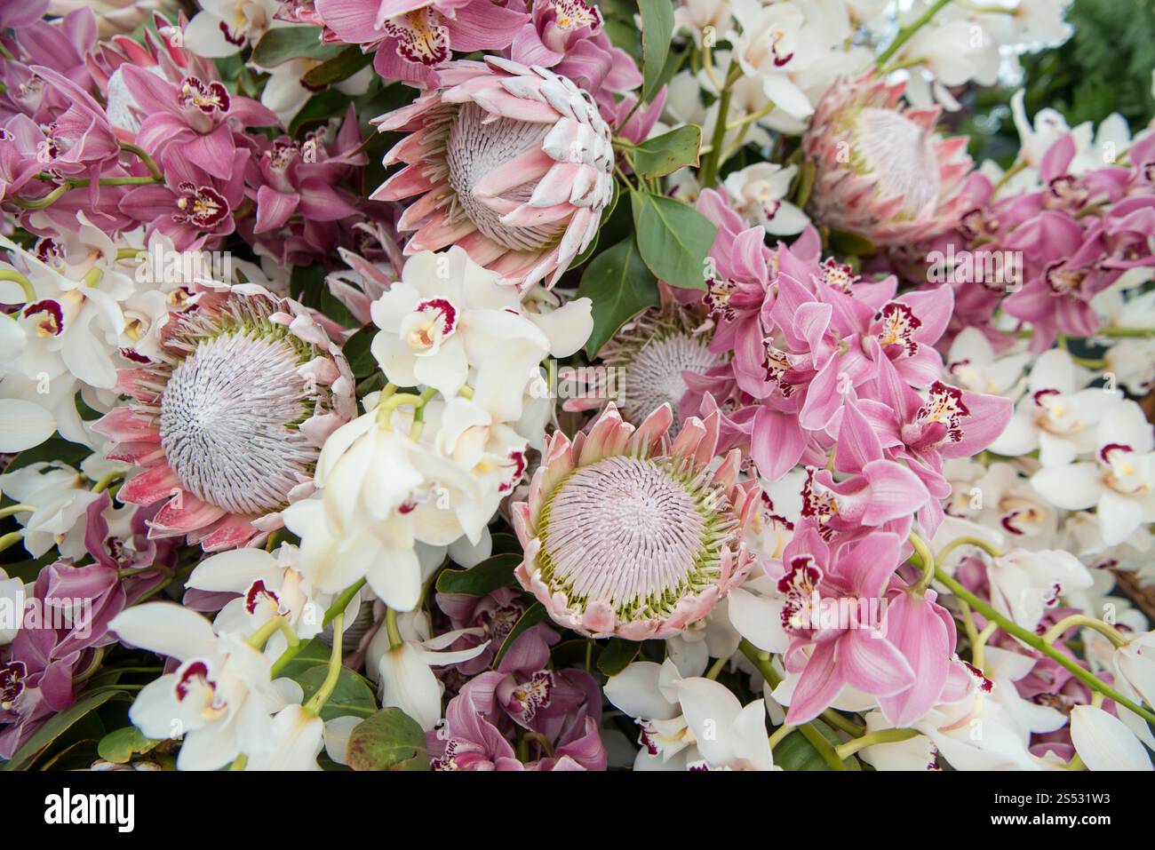 Il mercato dei fiori e la strada del mercato dell'avenida Arriaga alla Festa da Flor o Festival dei fiori primaverili nella città di Funchal sull'isola di Foto Stock