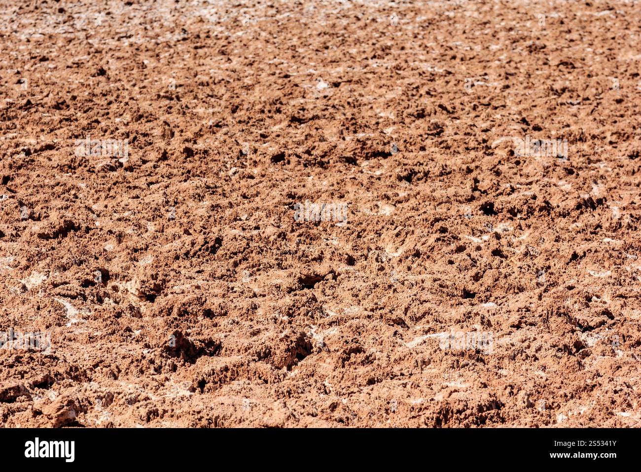 Un campo di terra con poche piccole rocce sparse ovunque. Lo sporco è marrone e le rocce sono bianche Foto Stock