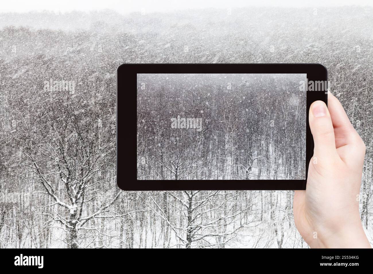 Concetto di viaggio - tourist fotografie di caduta di neve su alberi in city park giornata invernale sullo smartphone a Mosca, Russia Foto Stock