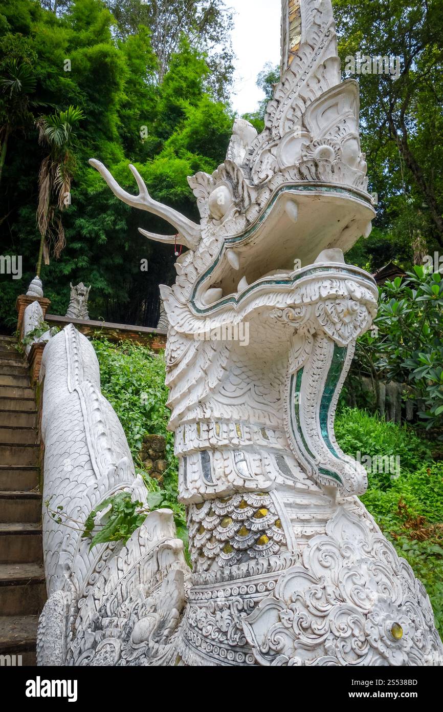 Statua del drago tempio Wat Palad, Chiang mai, Thailandia. Statua bianca nel tempio di Wat Palad, Chiang mai, Thailandia Foto Stock