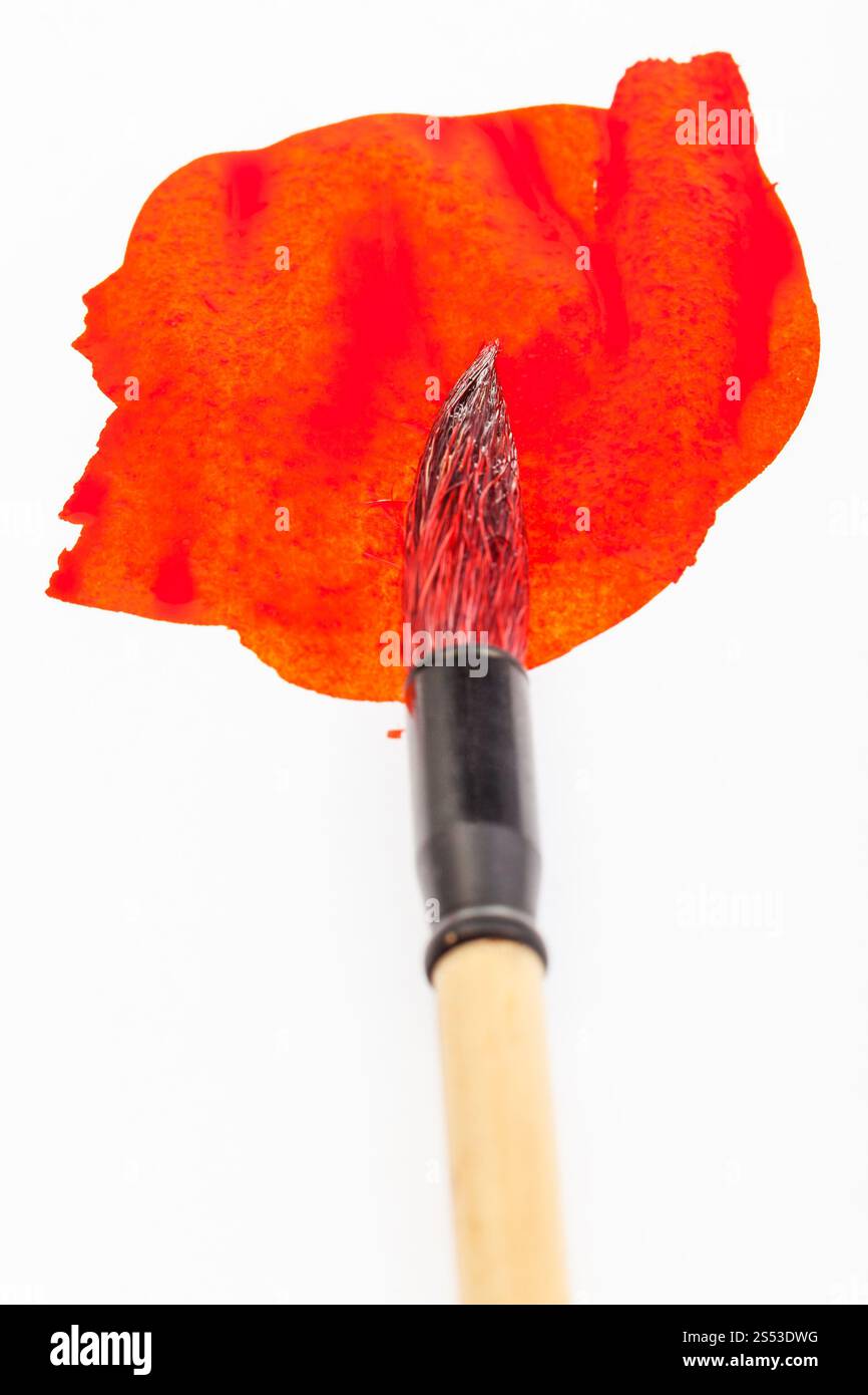 Colore rosso round pelo di capra punta del pennello per sumi-e ( suibokuga) dipinto in rosso blot su carta bianca da vicino Foto Stock