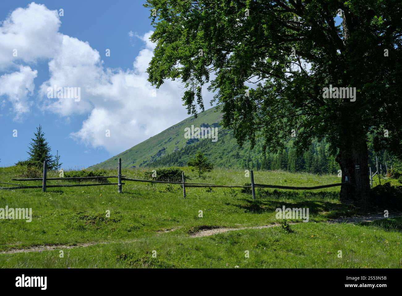 Carpazi estate montagna paesaggio di campagna con il percorso e la recinzione, Ucraina. Foto Stock
