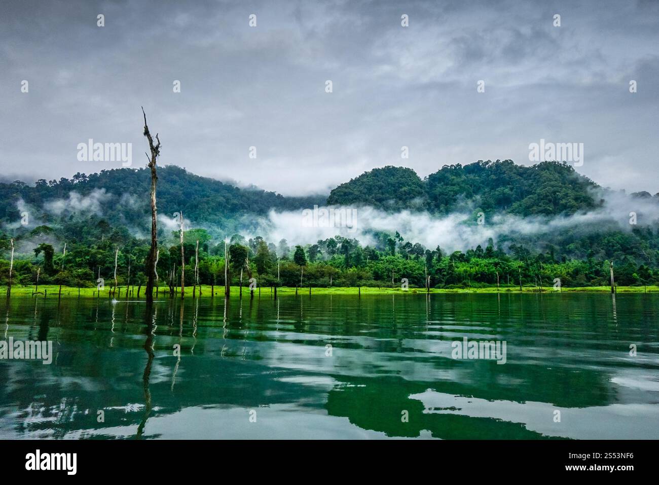 Mattina nebbiosa sul lago Cheow LAN nel Parco Nazionale di Khao Sok, Thailandia. Mattina nebbiosa sul lago Cheow LAN, Parco Nazionale Khao Sok, Thailandia Foto Stock