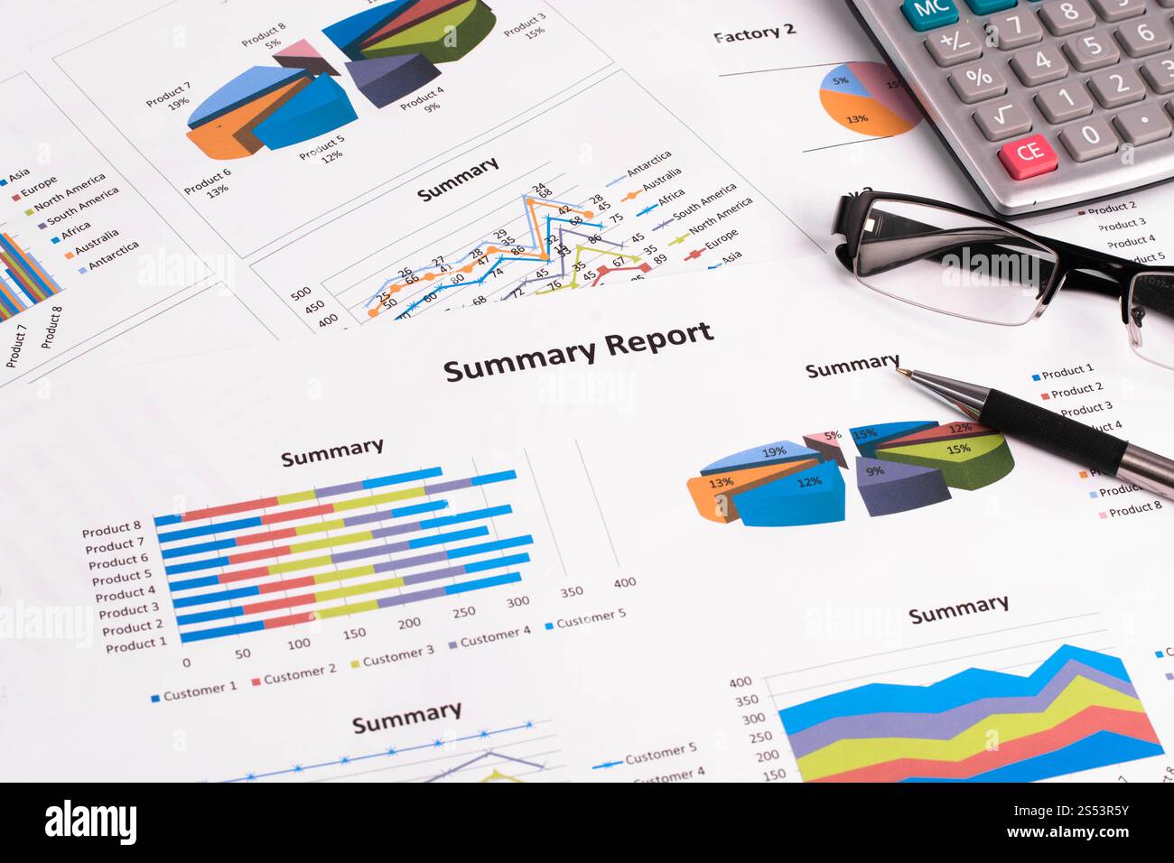 rapporto grafico aziendale, documento aziendale Foto Stock
