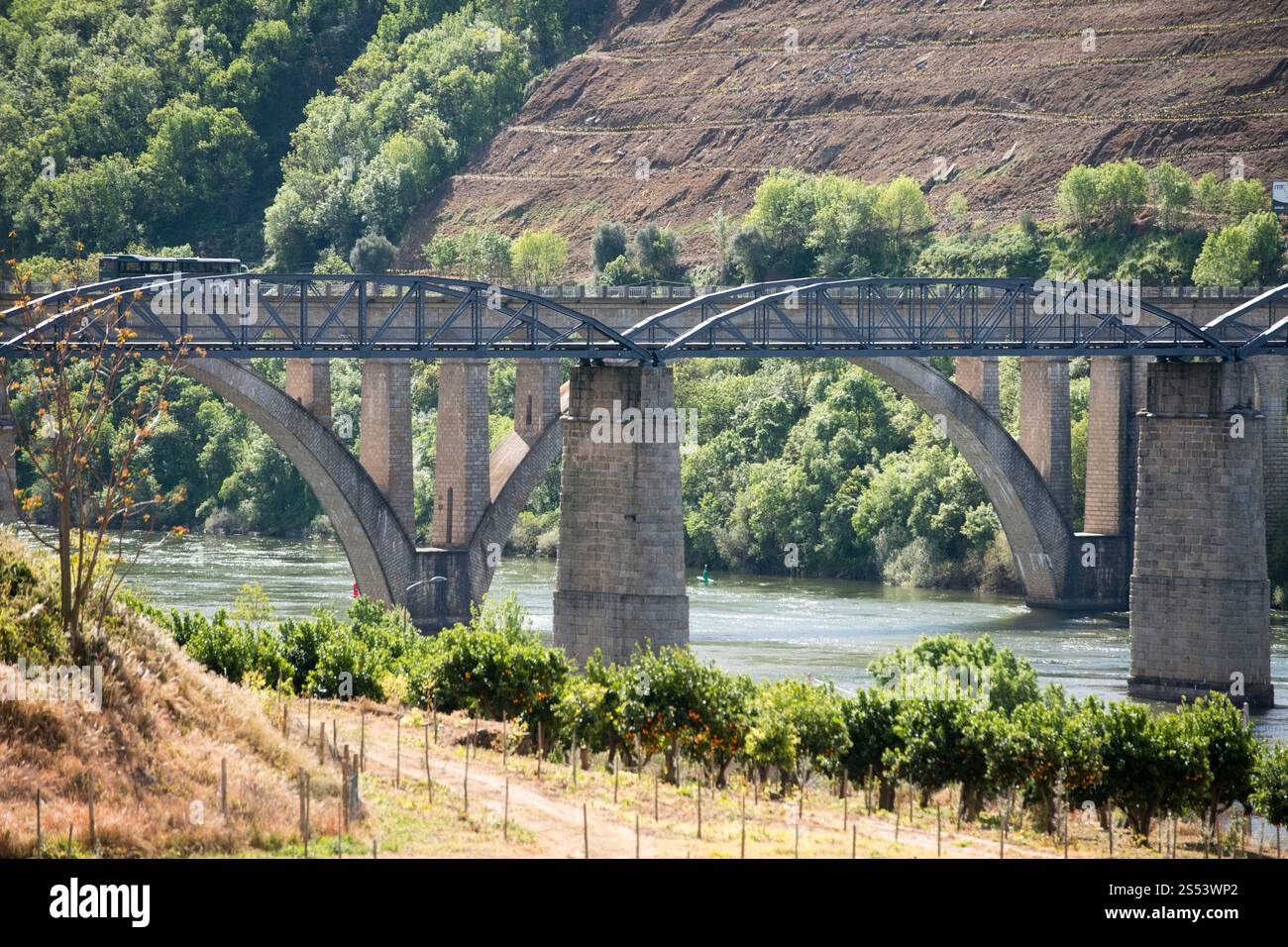 Un vecchio ponte del douro nel centro della città di peso da Regua sul fiume Douro, a est di Porto in Portogallo in Europa. Portogallo, Regua, aprile, Foto Stock