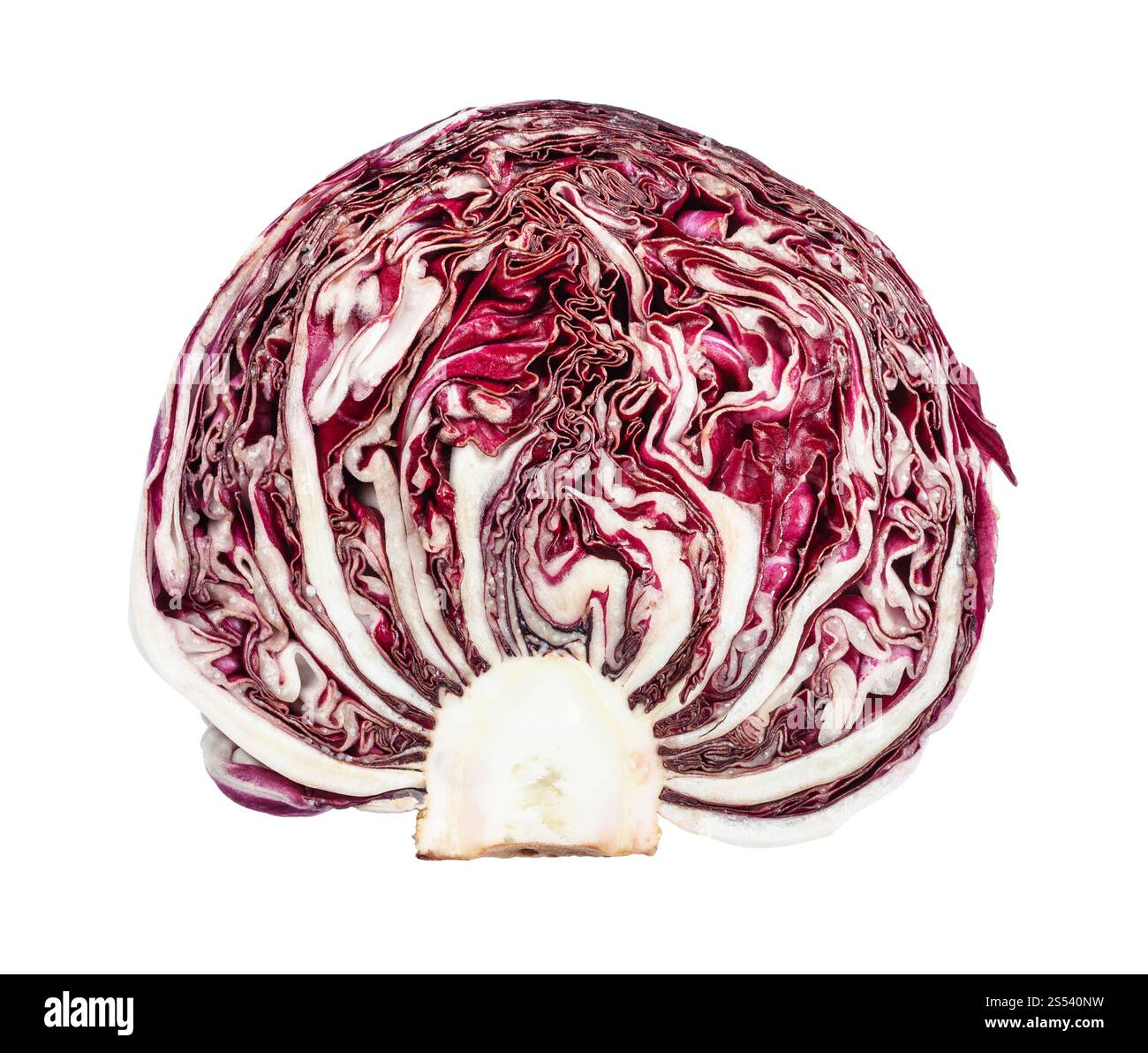 Sezione trasversale del frutto del radicchio rosso (Italiano cicoria a foglia) isolato su sfondo bianco Foto Stock