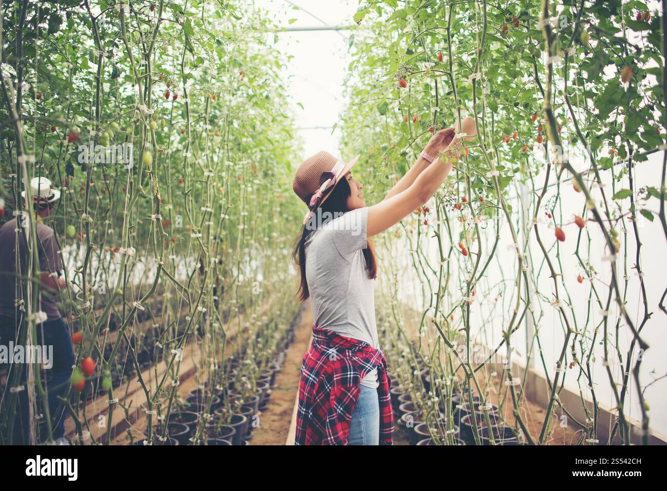 Studentessa ragazza dare Fist Bump successo per lo studio Foto Stock