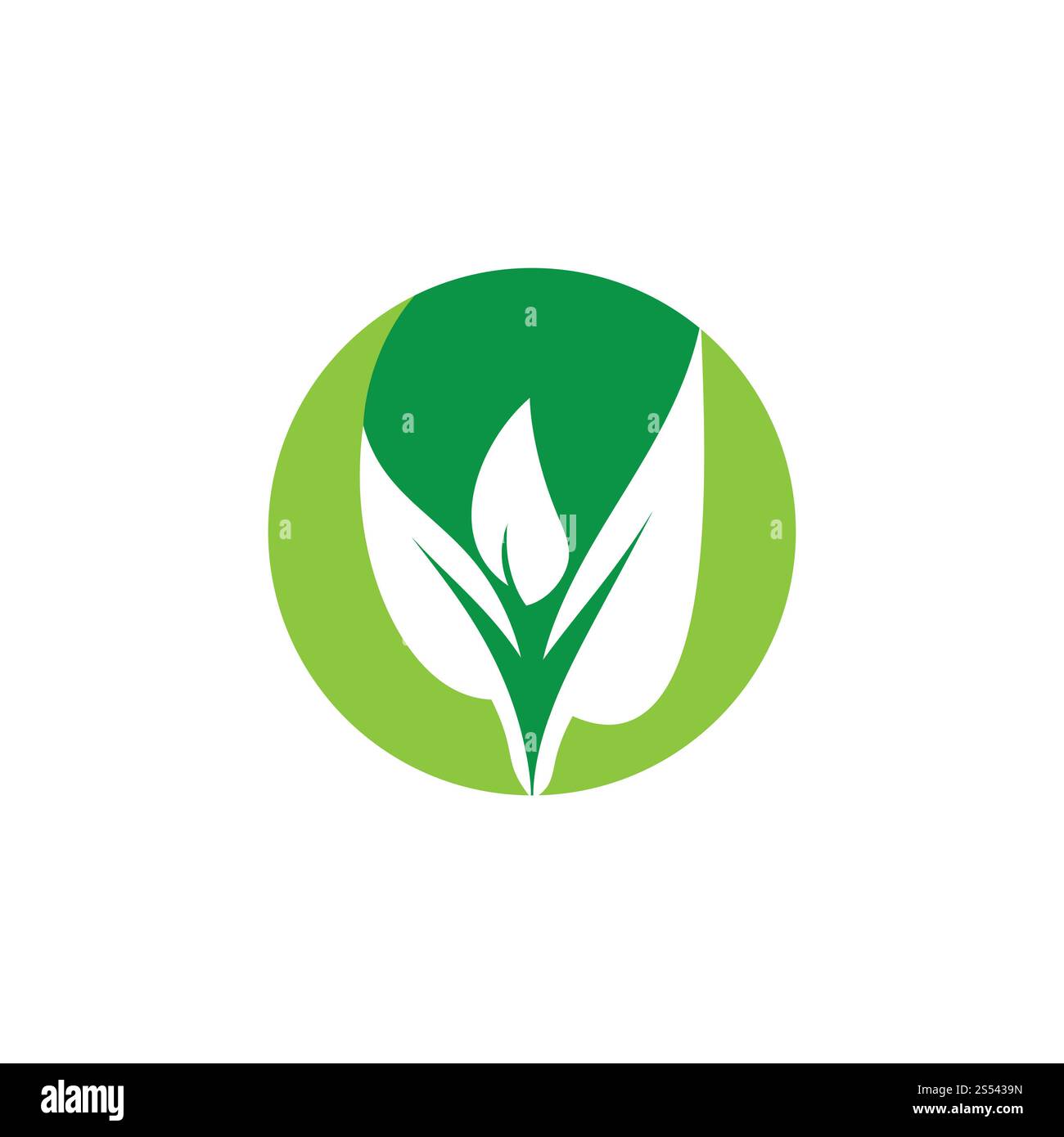 Eco Tree foglia modello di Logo Foto Stock