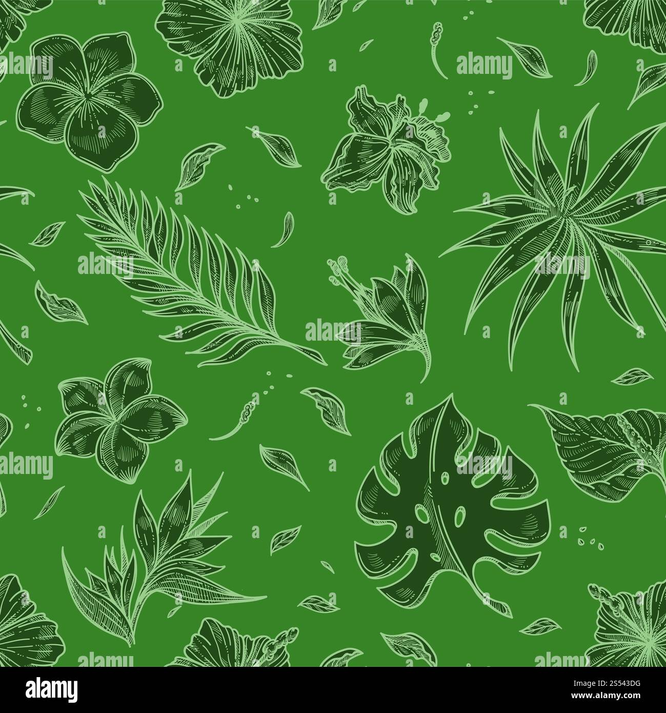 Sfondo per schizzi di foglie di palma tropicale senza cuciture. design botanico vettoriale di foglie esotiche tropiche monstera per la stampa paradiso estivo alla moda Foto Stock