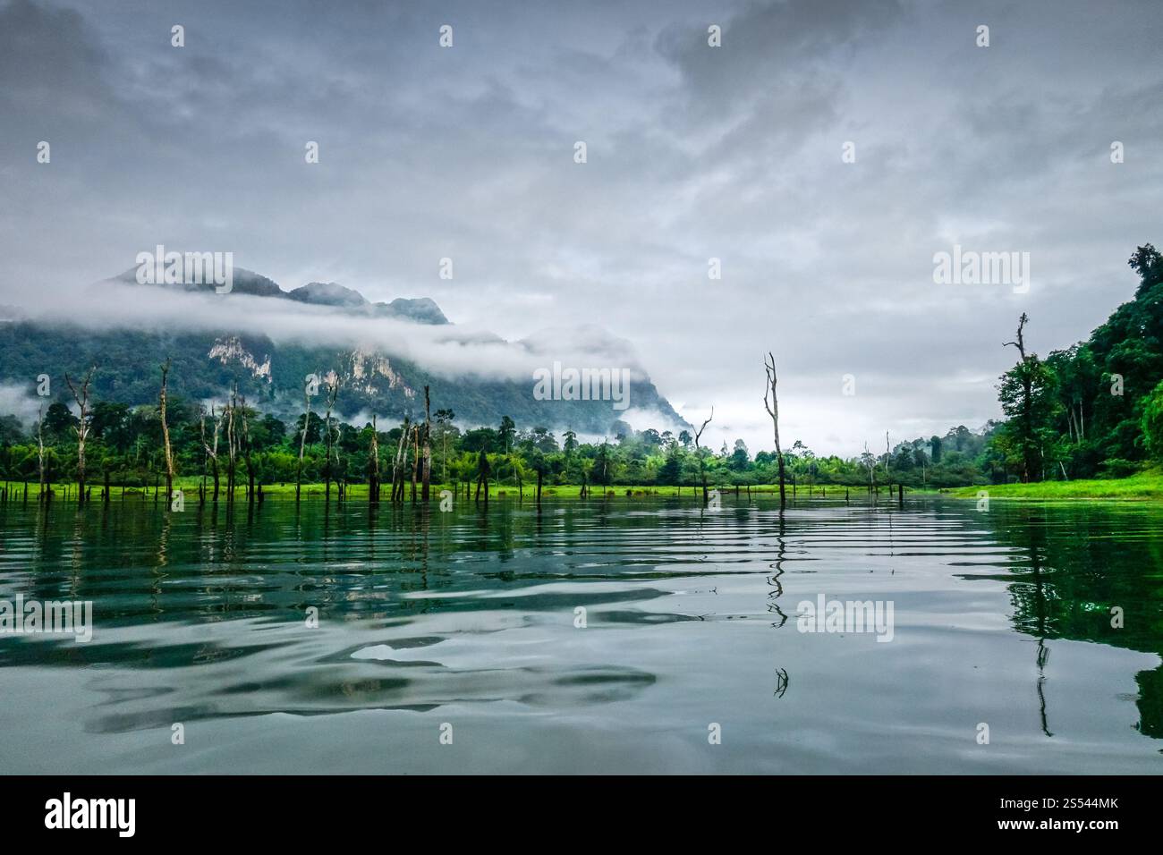 Mattina nebbiosa sul lago Cheow LAN nel Parco Nazionale di Khao Sok, Thailandia. Mattina nebbiosa sul lago Cheow LAN, Parco Nazionale Khao Sok, Thailandia Foto Stock