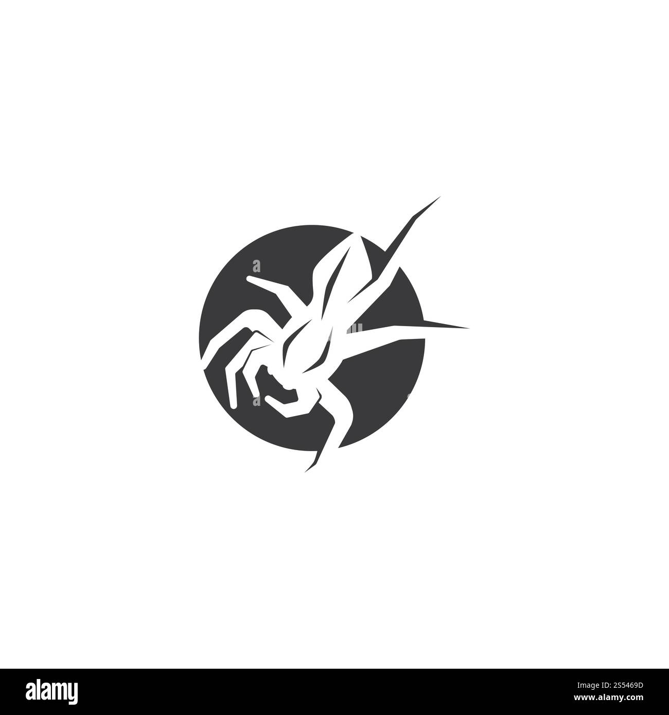 modello vettoriale del logo di spider ilustration Foto Stock