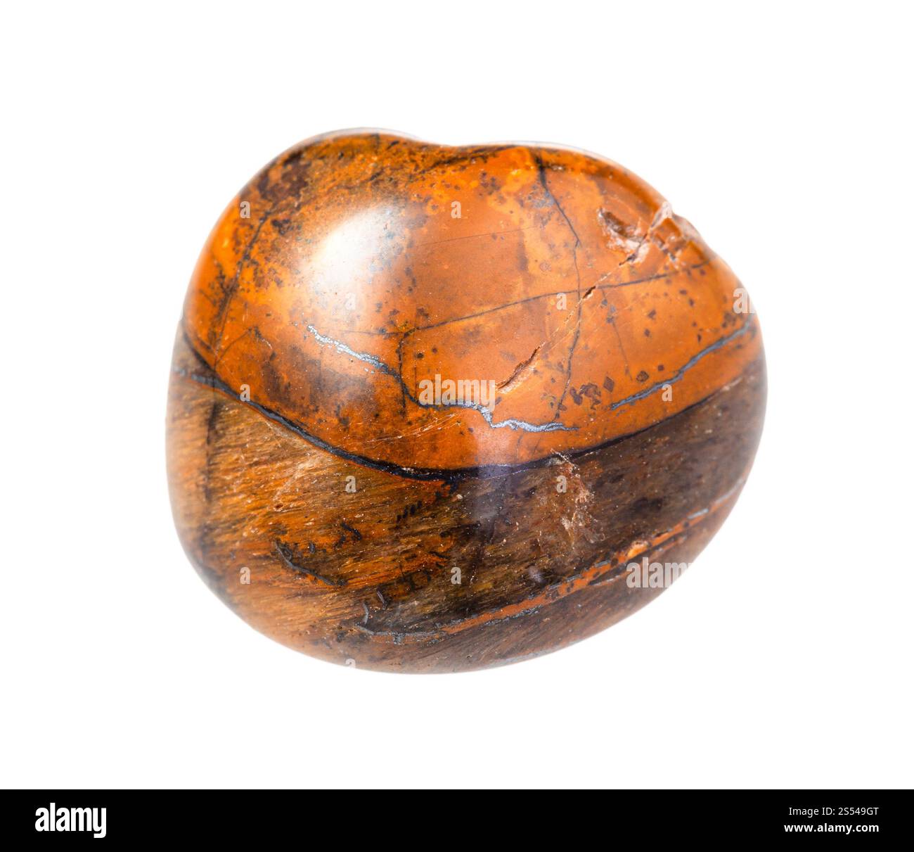 primo piano di un campione di minerale naturale proveniente dalla collezione geologica - gemma Tiger-eye isolata su sfondo bianco. Gemma Tiger-eye isolata Foto Stock