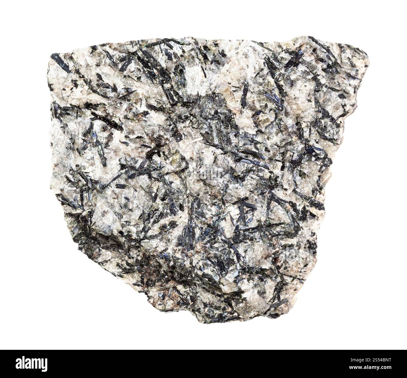 primo piano del campione di minerale naturale proveniente dalla raccolta geologica - roccia lujavrite non lucidata isolata su sfondo bianco. Roccia lujavrite non lucidata Foto Stock
