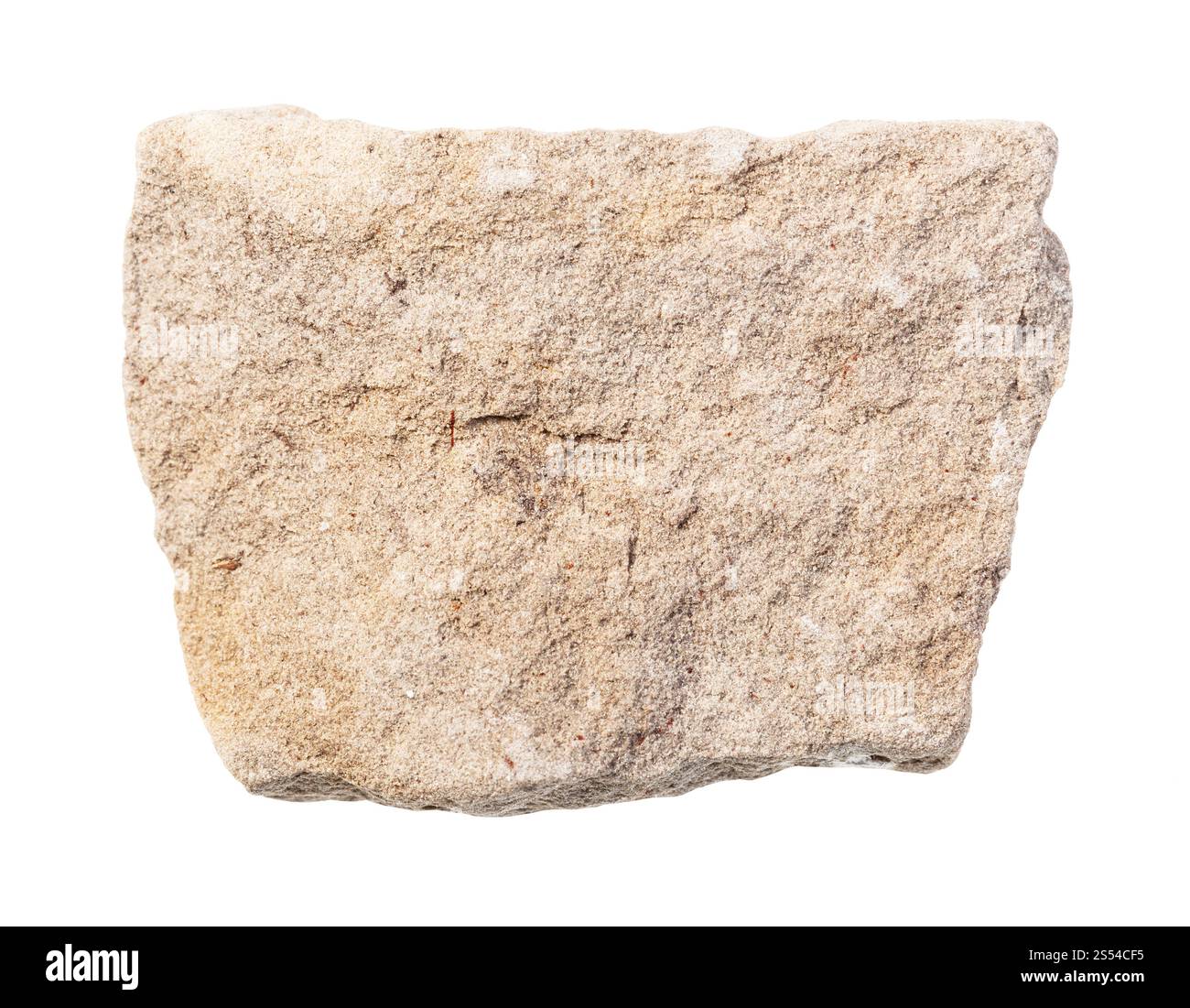 primo piano di un campione di minerale naturale proveniente dalla collezione geologica - roccia di dolomite grigia non lucidata isolata su sfondo bianco. grigio non lucido Foto Stock