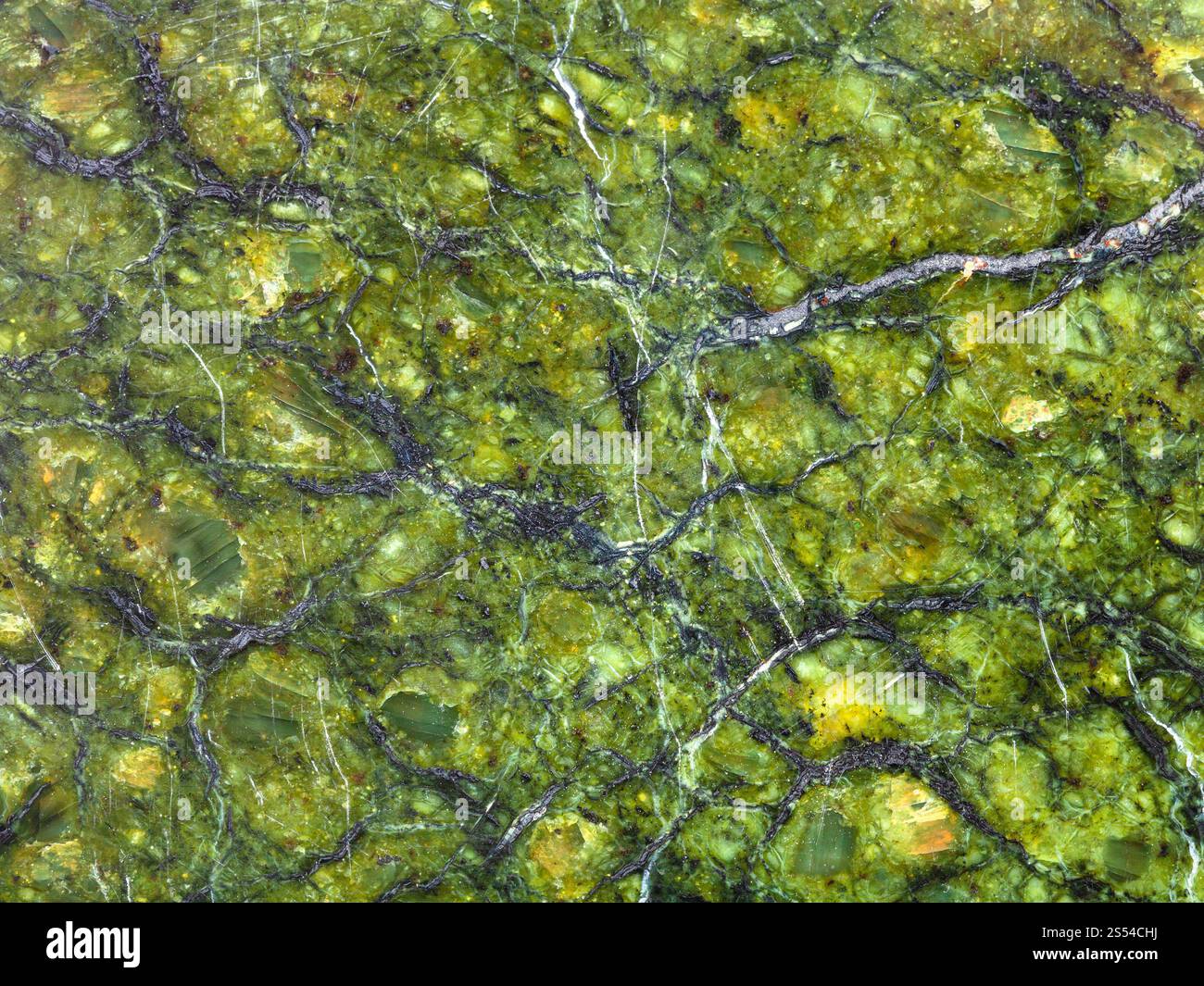consistenza di roccia a serpentinite naturale lucida primo piano. consistenza di roccia di serpentinite naturale lucida Foto Stock