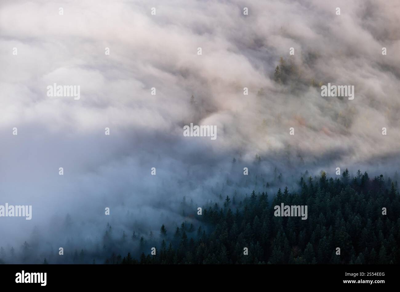 Vista mattutina nebbiosa delle Alpi autunnali dalla piattaforma di osservazione Jenner, Schonau am Konigssee, Baviera, Germania. Viaggi pittoreschi, stagionali e. Foto Stock