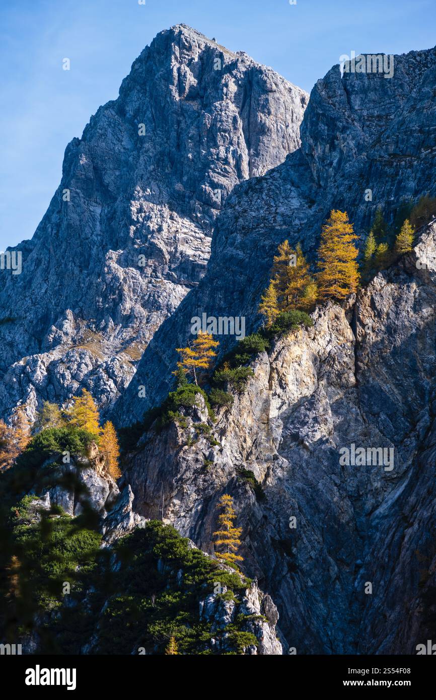 Alpi d'autunno cime rocciose vista dal sentiero escursionistico, Kleinarl, Land Salzburg, Austria. Foto Stock