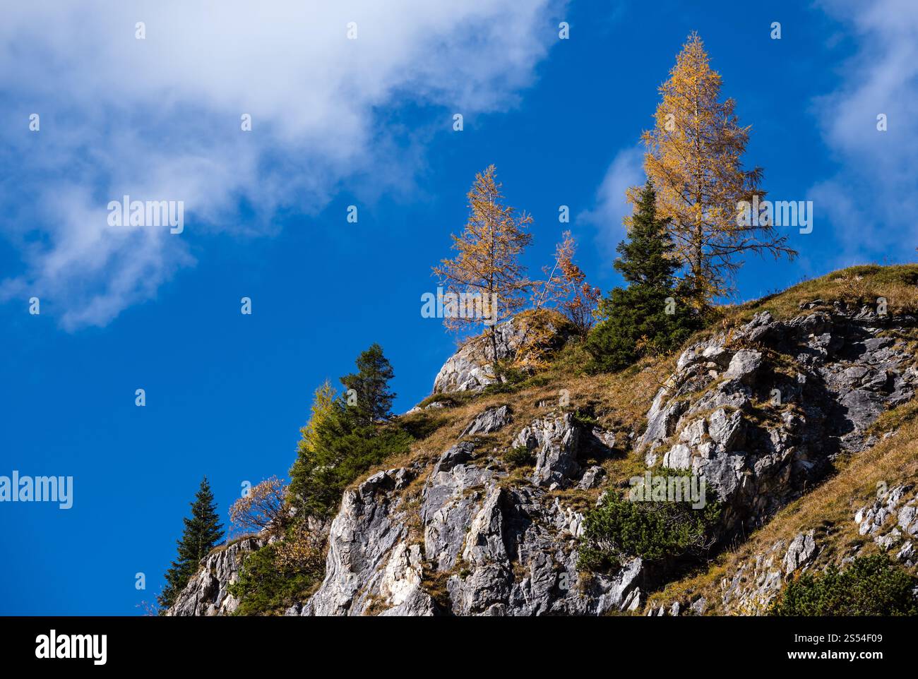 Alpi d'autunno cime rocciose vista dal sentiero escursionistico, Kleinarl, Land Salzburg, Austria. Foto Stock