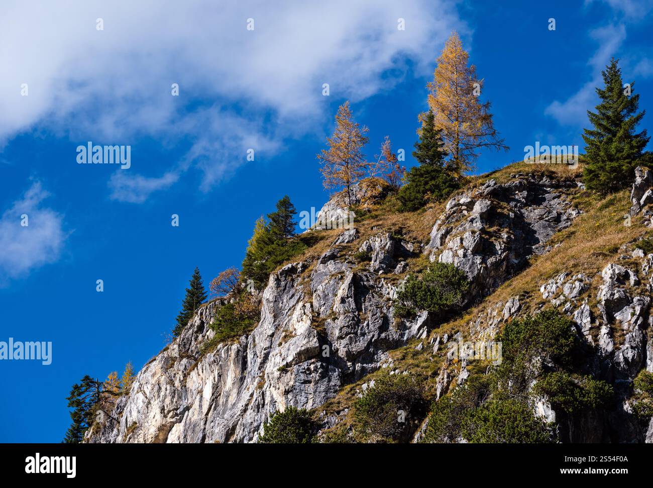 Alpi d'autunno cime rocciose vista dal sentiero escursionistico, Kleinarl, Land Salzburg, Austria. Foto Stock