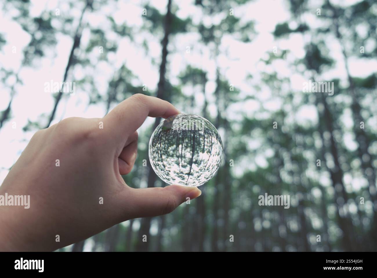 La sfera di vetro di cristallo salva il pianeta pulito, il concetto di ecologia. Foto Stock