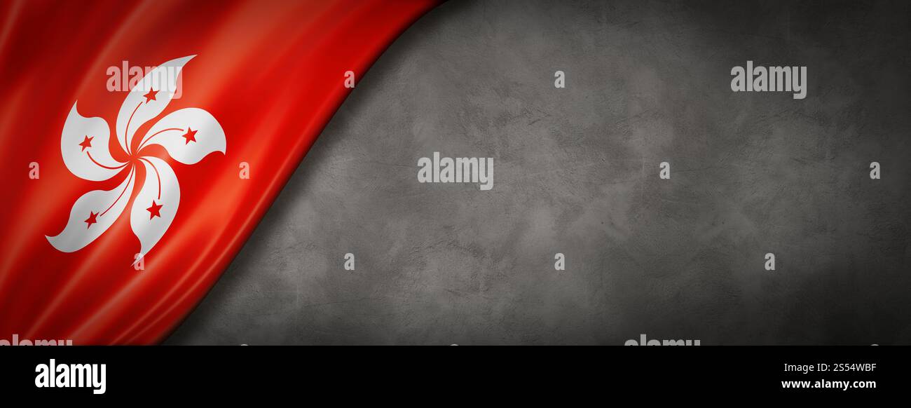 Bandiera di Hong Kong sul muro di cemento. Striscione panoramico orizzontale. Illustrazione 3D. Bandiera di Hong Kong sullo striscione di cemento Foto Stock