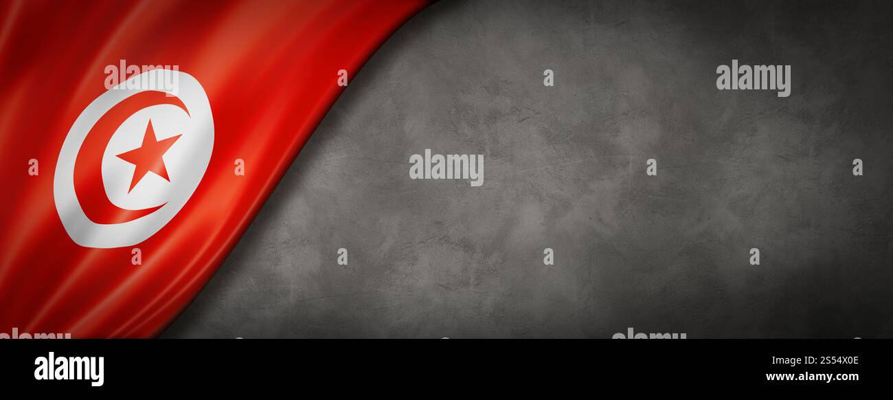 Bandiera della Tunisia su un muro di cemento. Striscione panoramico orizzontale. Illustrazione 3D. Bandiera tunisina su striscione da parete in cemento Foto Stock