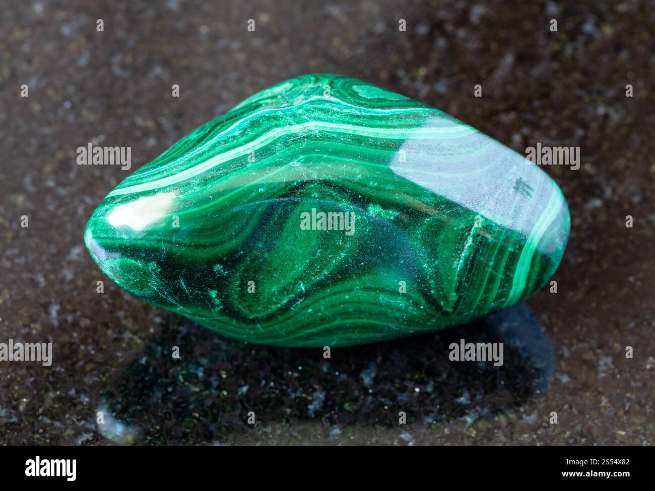 primo piano di un campione di minerale naturale proveniente dalla collezione geologica - rocce malachite lucide su fondo di granito nero dal Katanga, Congo. lucidato Foto Stock