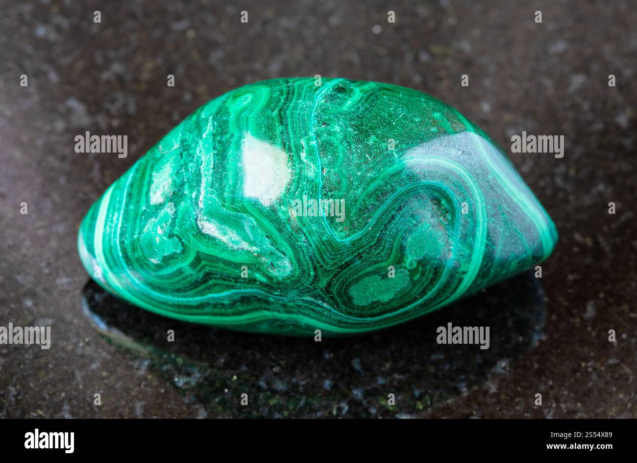 primo piano di un campione di minerale naturale proveniente dalla collezione geologica - roccia malachite arrotolata su fondo di granito nero proveniente dal Katanga, Congo. arrotolato Foto Stock