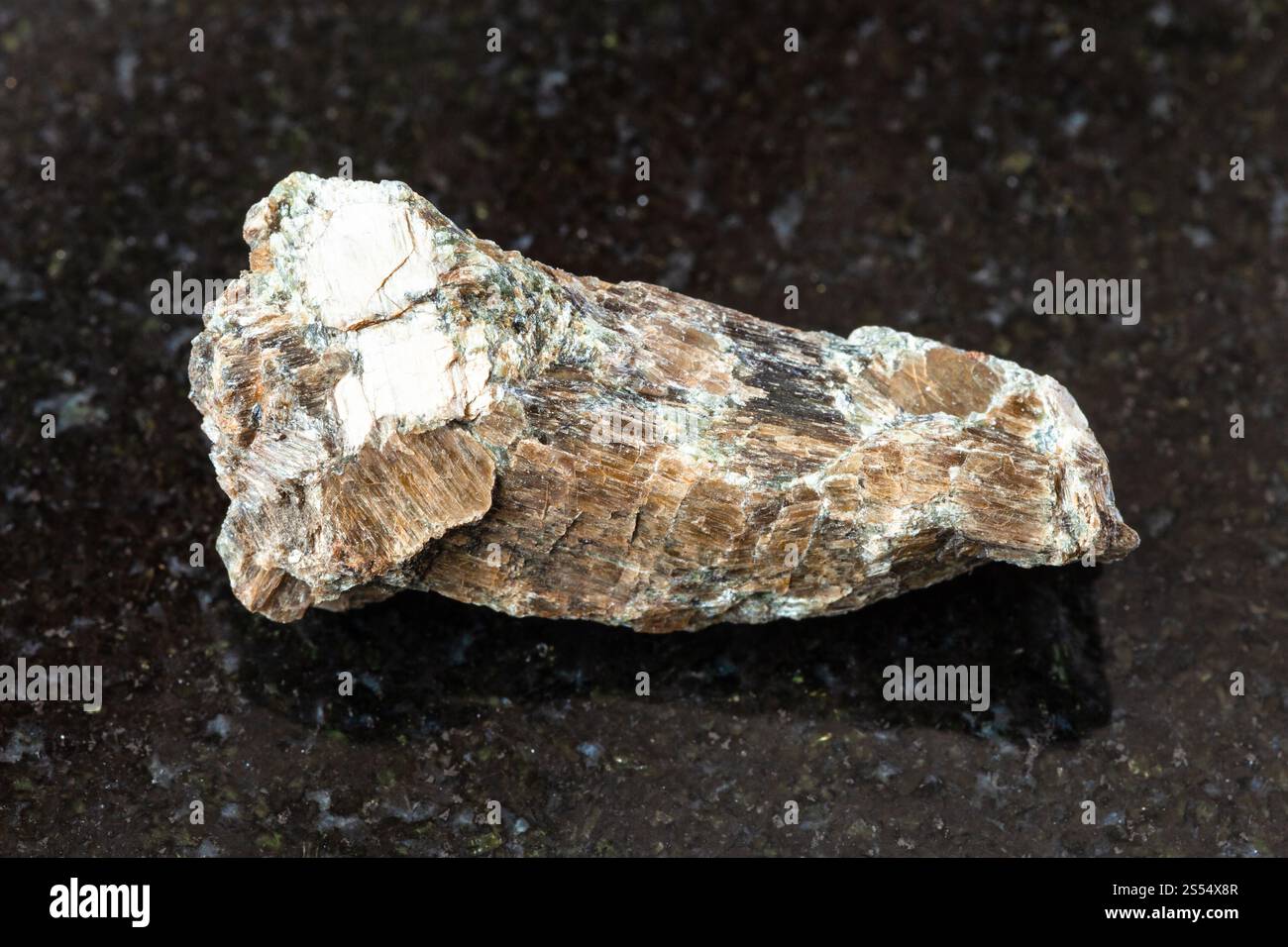 primo piano di un campione di minerale naturale proveniente dalla collezione geologica - roccia di Bronzite (enstatite) non lucidata su fondo di granito nero da Rai-Iz Foto Stock