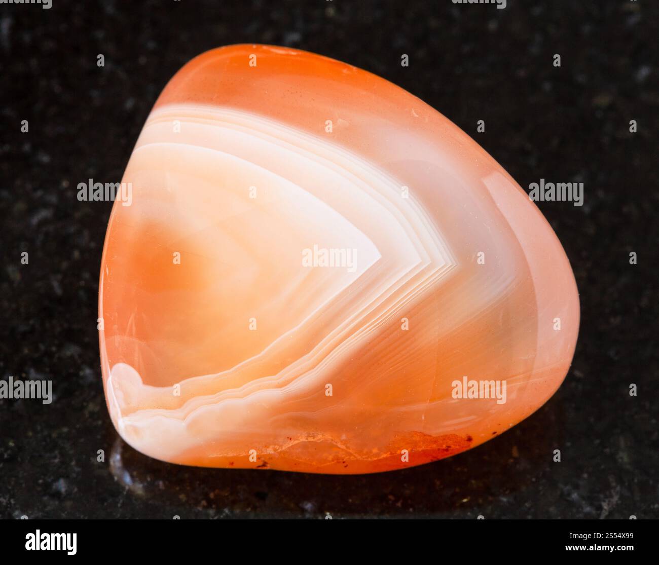 primo piano di un campione di minerale naturale proveniente dalla collezione geologica - roccia carneliana (corneliana) lucidata su fondo granitico nero del Madagascar. Foto Stock