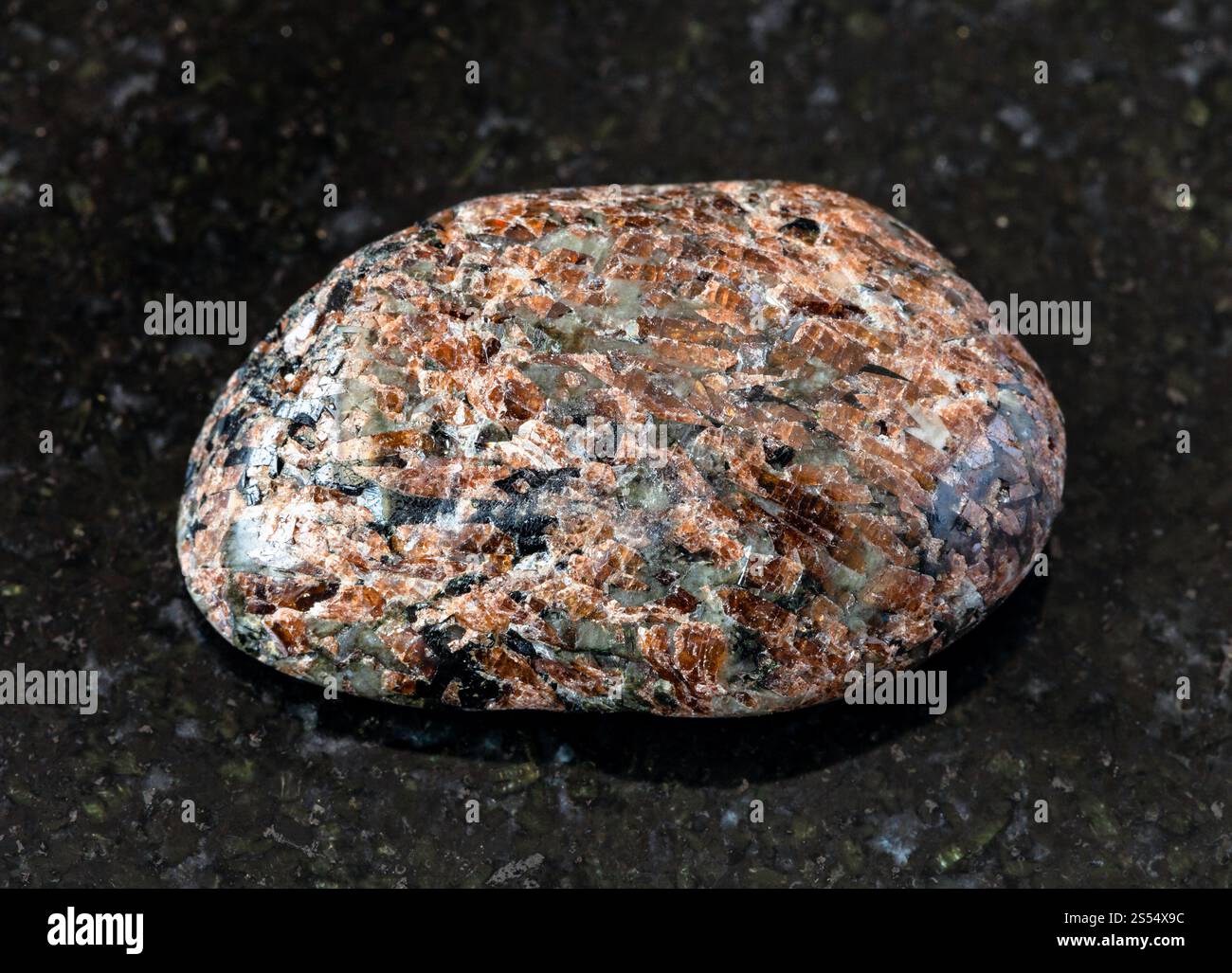 primo piano di un campione di minerale naturale proveniente dalla collezione geologica - roccia di Titanite (Sphene) lucidata su fondo di granito nero da Khibiny, Kola Foto Stock