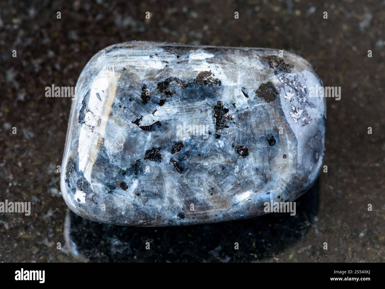 primo piano di un campione di minerale naturale proveniente dalla raccolta geologica - roccia di Larvikite (Labradorite norvegese) tumulata su fondo di granito nero da Foto Stock