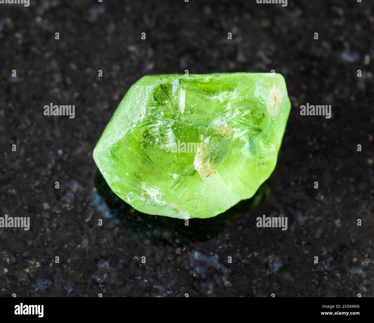 primo piano di un campione di minerale naturale proveniente dalla collezione geologica - cristallo di olivina non lucidata (Peridot, Chrysolite) su sfondo di granito nero da Foto Stock