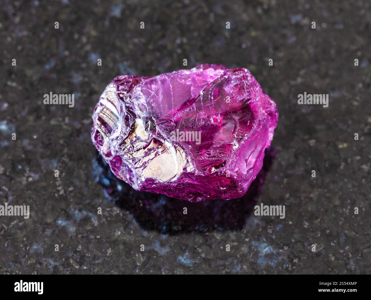 primo piano di un campione di minerale naturale proveniente dalla collezione geologica - cristallo di rodolite (granato piropico) non lucidato su fondo di granito nero da Foto Stock