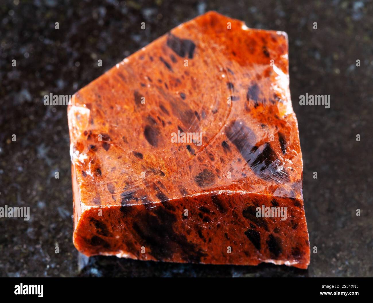 primo piano di un campione di minerale naturale proveniente dalla collezione geologica - roccia ossidiana di mogano non lucidata su sfondo di granito nero. Mogano non lucido Foto Stock