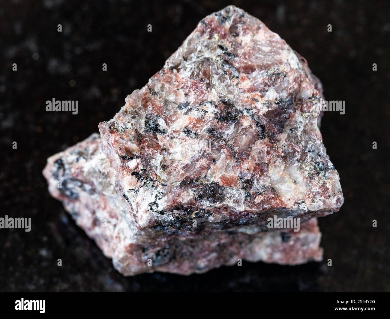 primo piano di un campione di minerale naturale proveniente dalla collezione geologica - pietra di granito rosa non lucidata su fondo di granito nero. Granito rosa non lucido Foto Stock