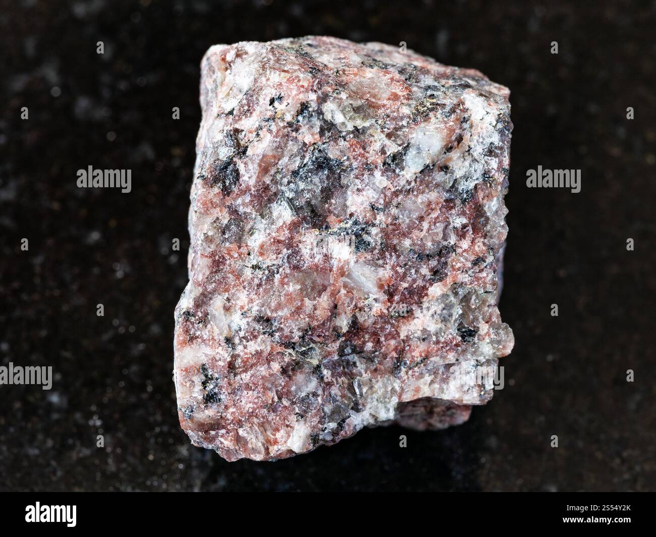 primo piano di un campione di minerale naturale proveniente dalla collezione geologica - roccia di granito rosa ruvida su fondo di granito nero. Roccia di granito rosa ruvida Foto Stock