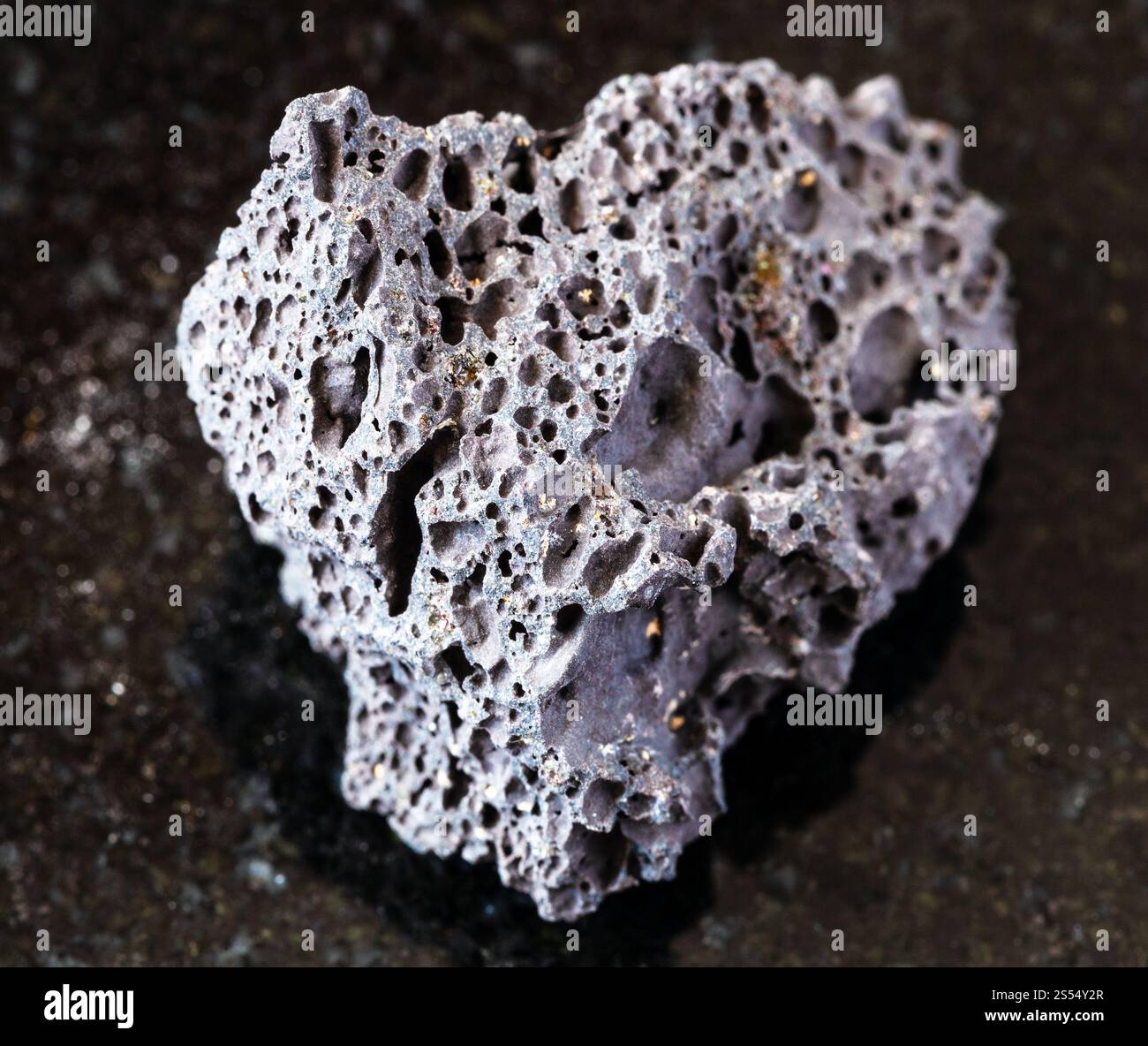 primo piano di un campione di minerale naturale proveniente dalla collezione geologica - pietra pomice nera non lucidata su fondo di granito nero. Pomice nera non lucida Foto Stock