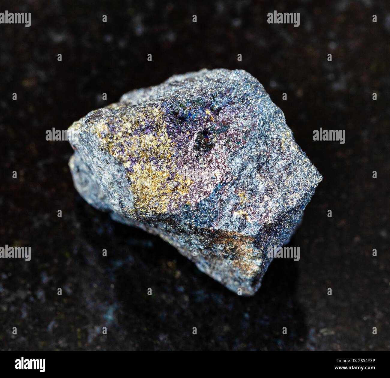 primo piano di un campione di minerale naturale proveniente dalla collezione geologica - Bornite non lucidata con roccia calcopitica su fondo granito nero da Foto Stock